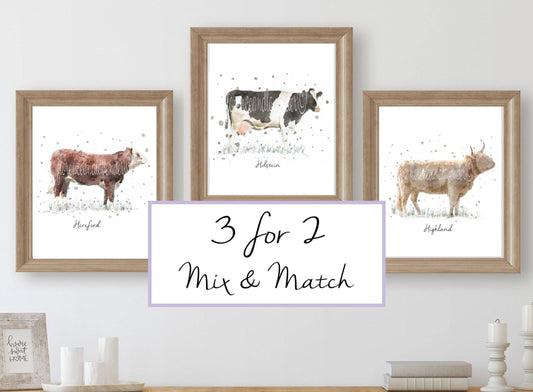 Cow Collection - 3 for 2 - Florence & Lavender