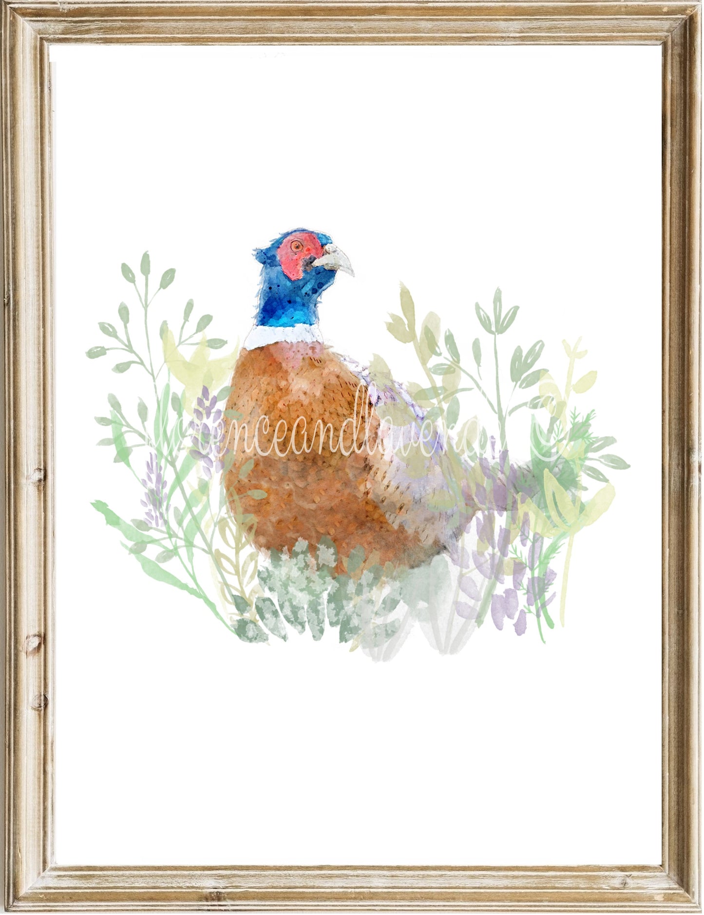 Trio of game bird prints - Florence & Lavender
