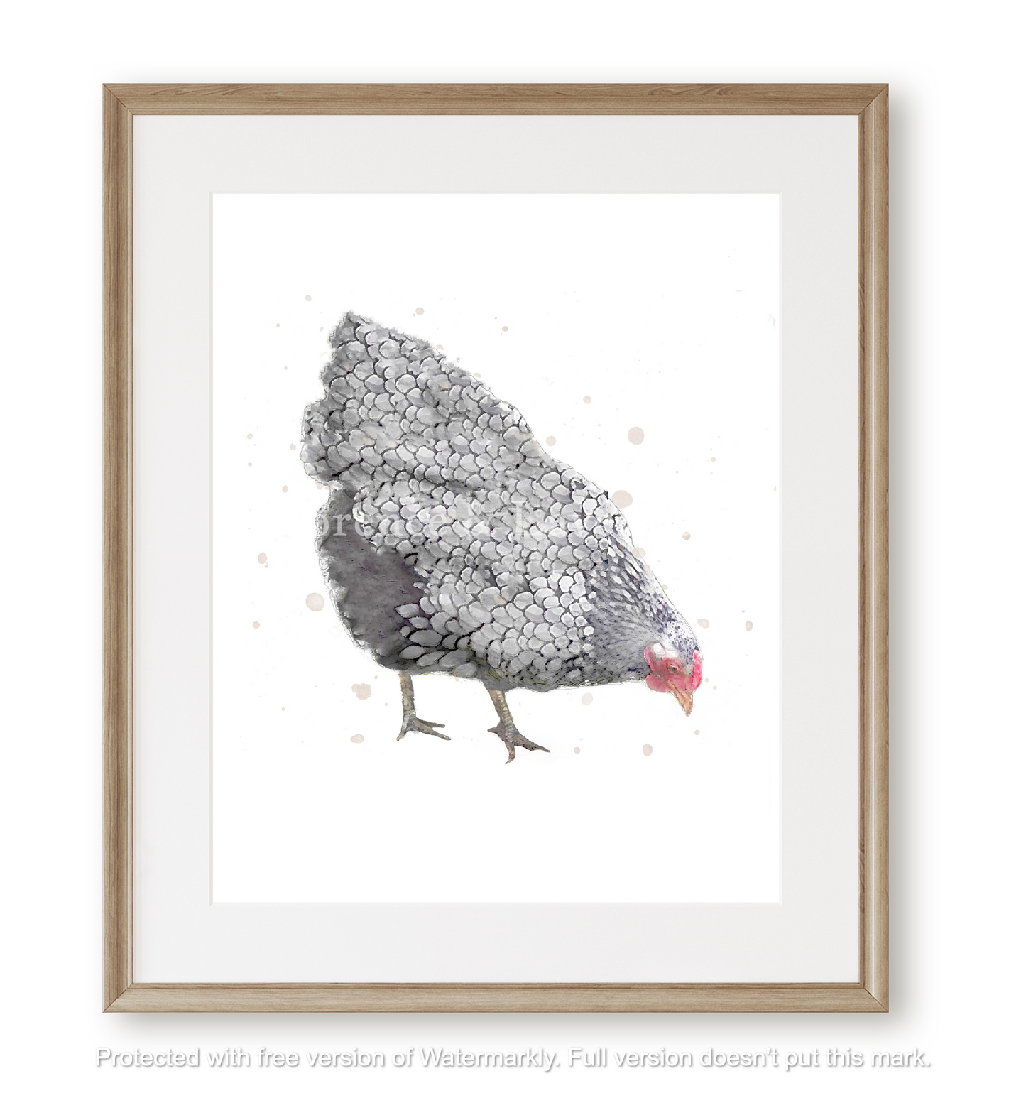 The Chicken Collection! - Florence & Lavender