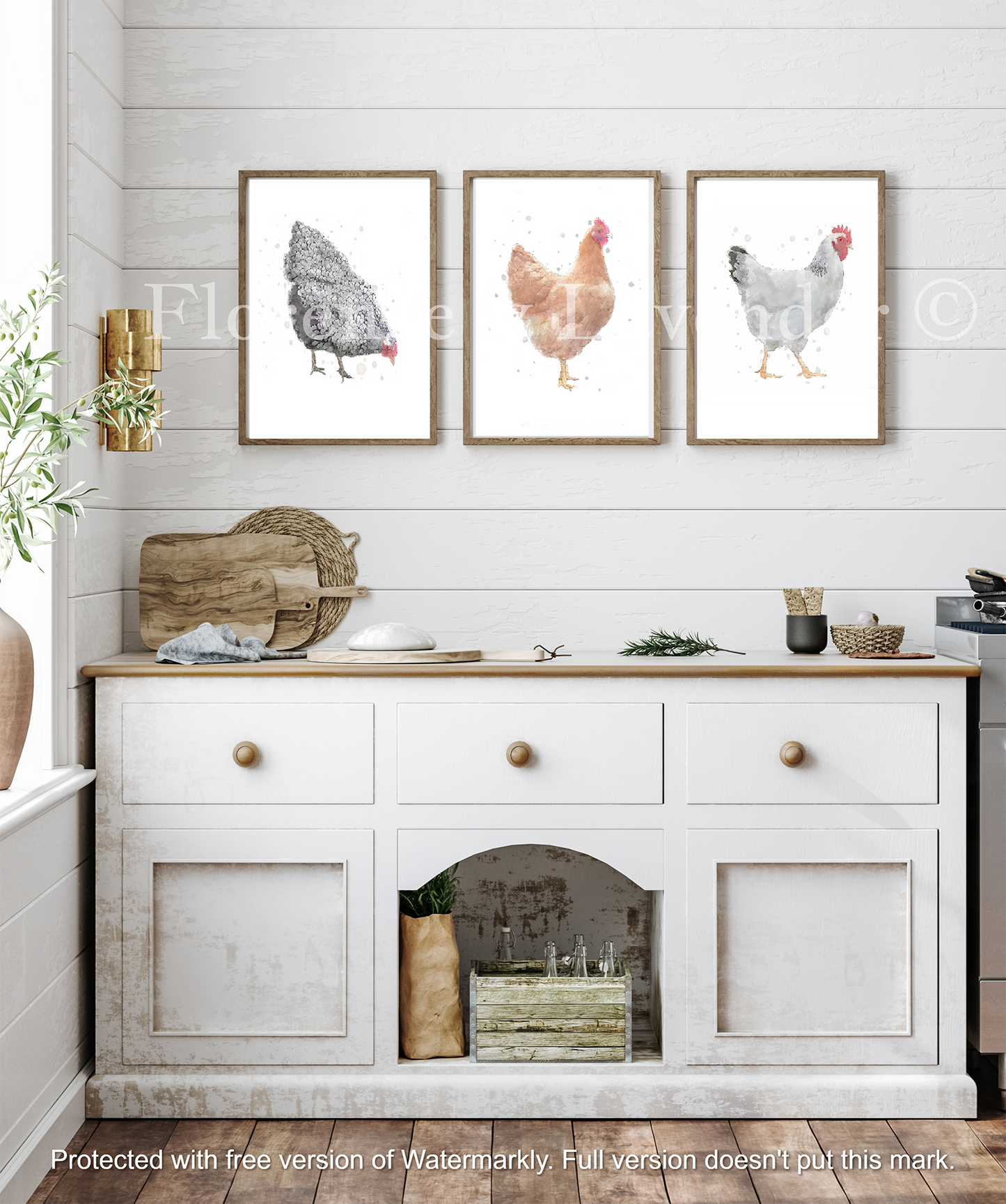 The Chicken Collection! - Florence & Lavender