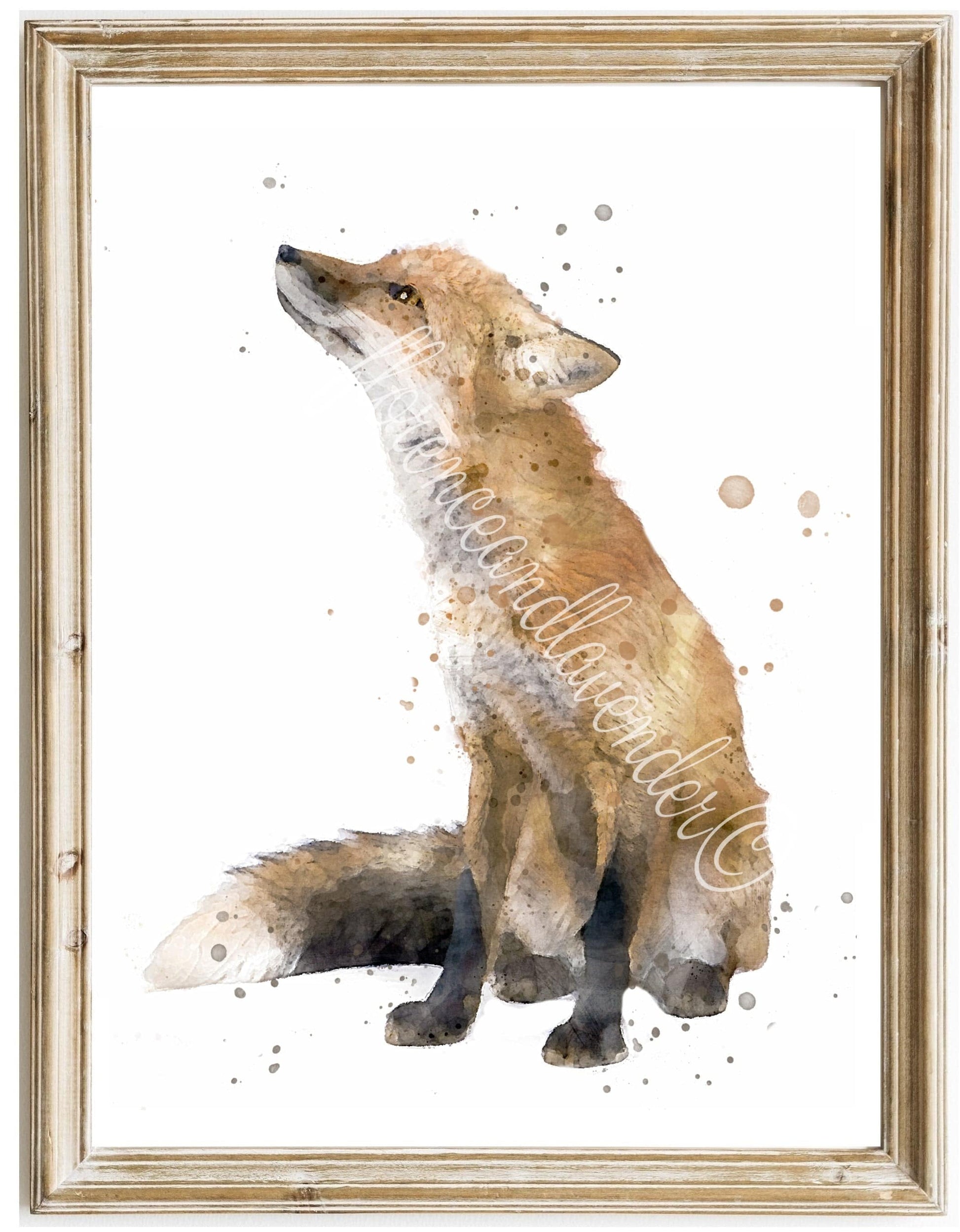 Trio Of Fine Art Woodland Animal Prints - Florence & Lavender