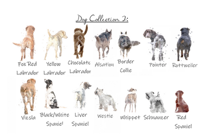 Personalised 'Man's Best Friend' - Florence & Lavender
