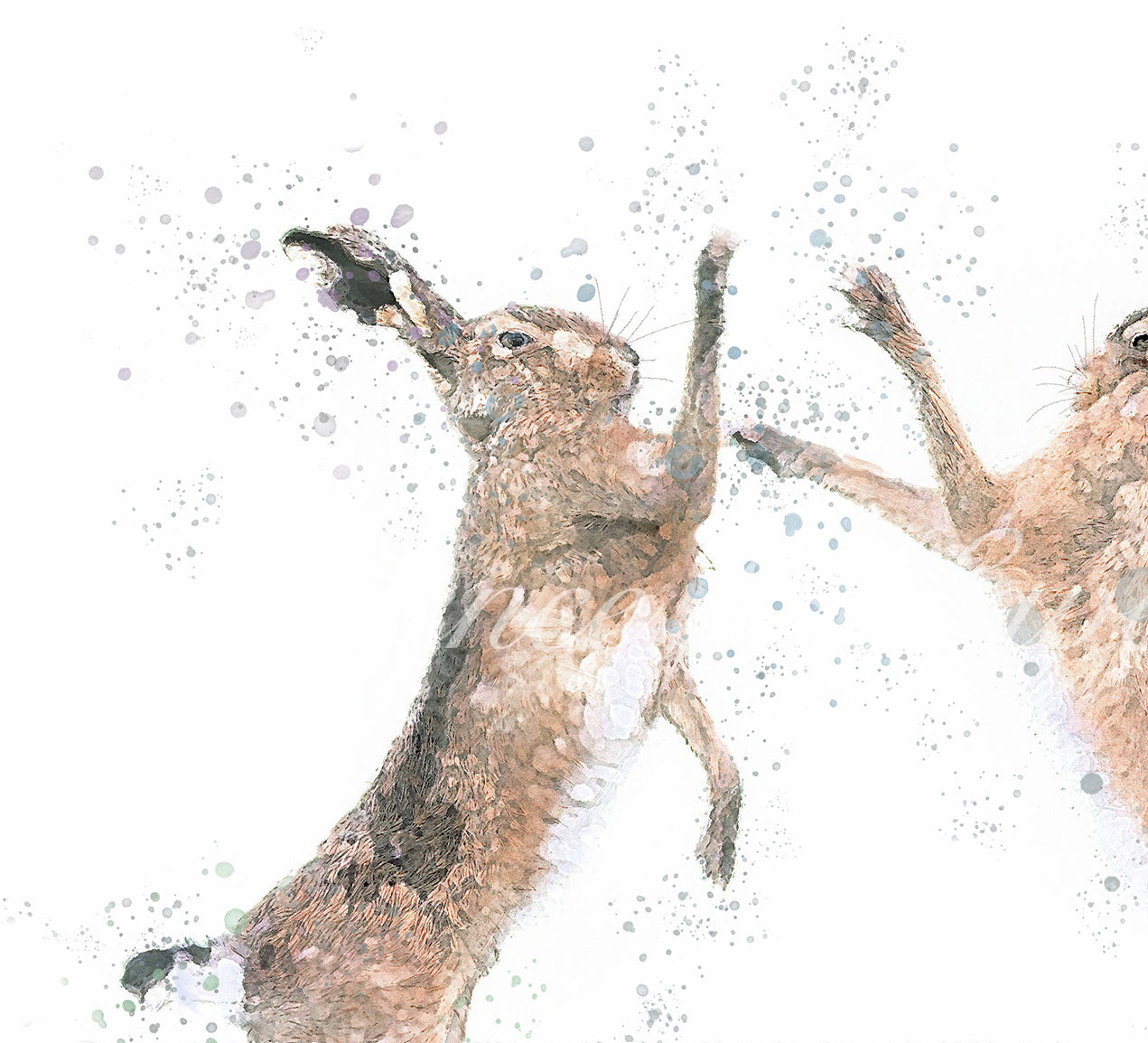 ''Boxing Hares'' - Hare Print - Florence & Lavender