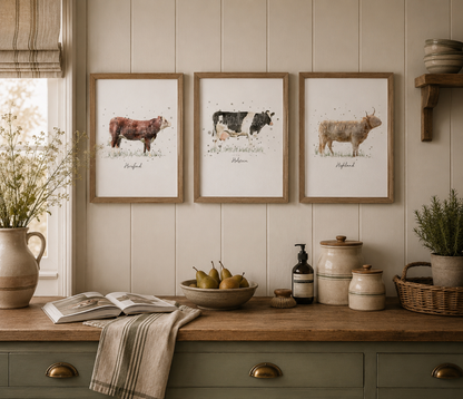 Cow Collection - 3 for 2