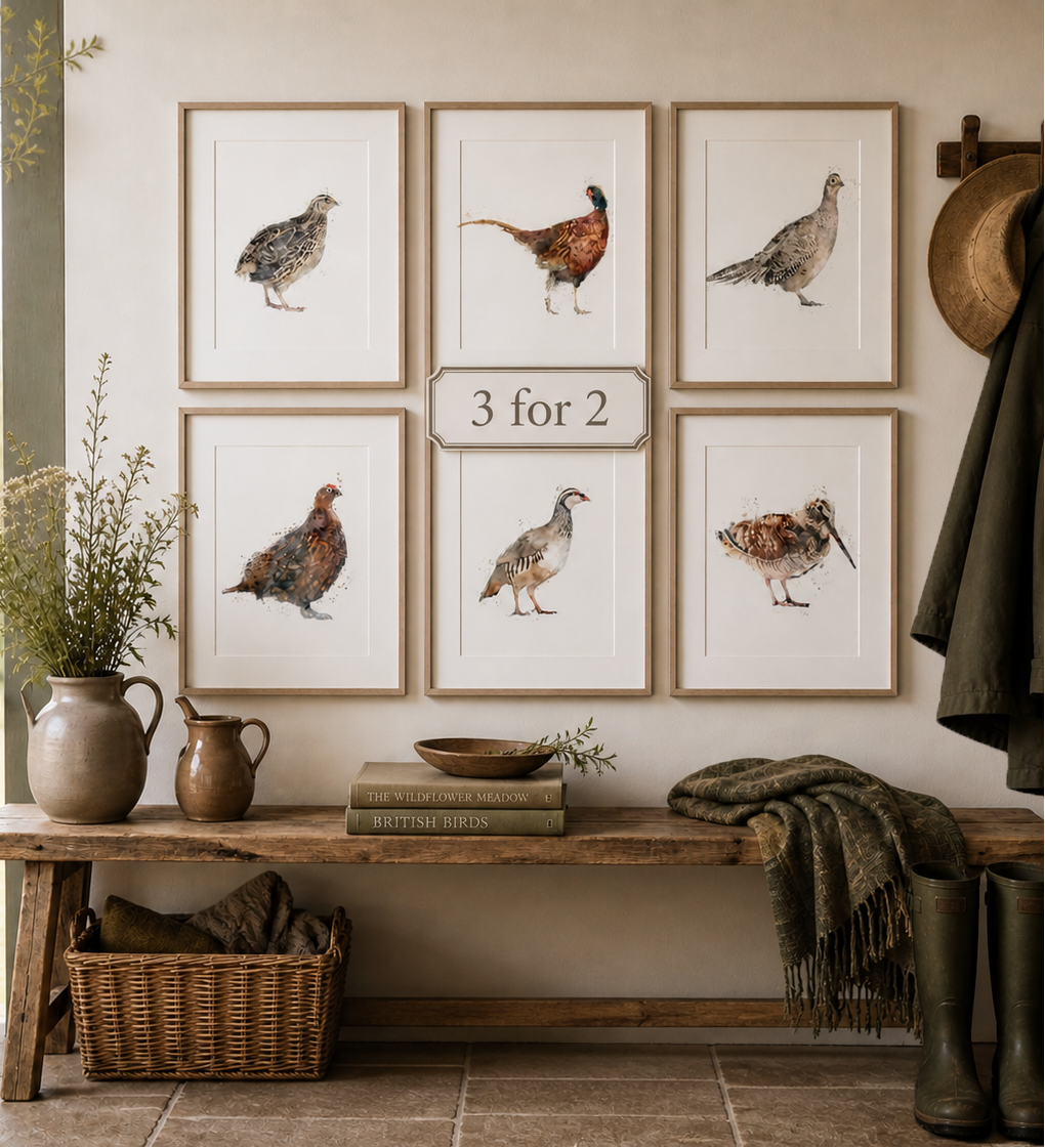 3 for 2 offer - Game Bird Prints - Florence & Lavender