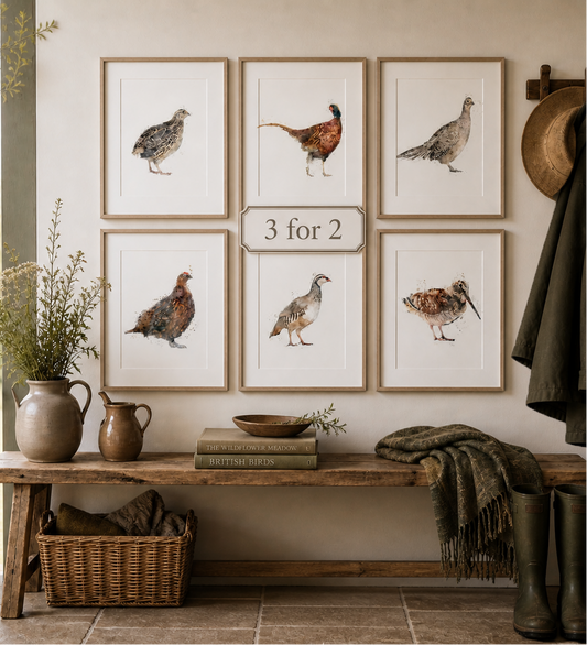 3 for 2 offer - Game Bird Prints - Florence & Lavender