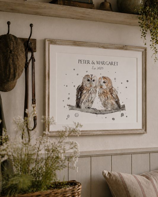 Owl Love - Tawny Owls