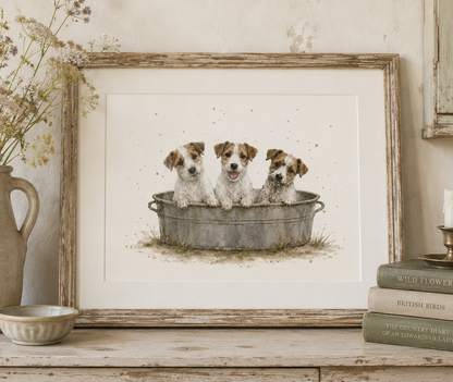 Troublemakers - Jack Russells