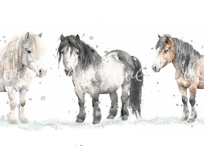 Personalised Shetland Pony Print - Florence & Lavender