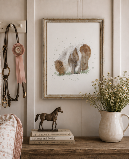 Shetland Pony Collection