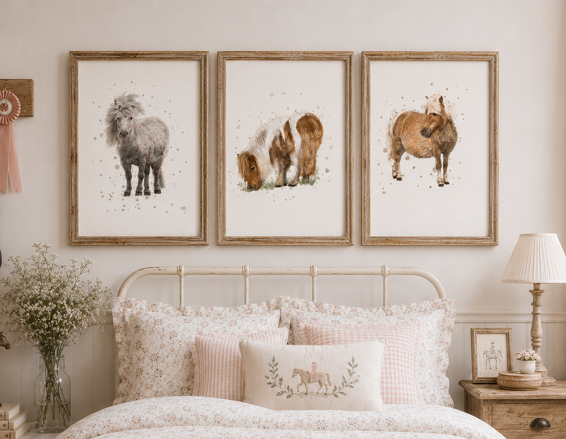 Shetland Pony Collection