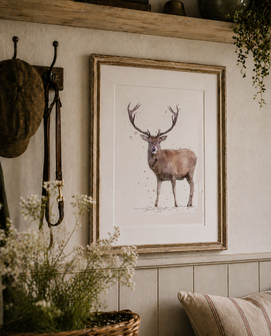 ''Rupert'' - Watercolour Stag Print - Florence & Lavender