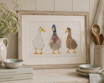 Trio Of Ducks - ''The Quackers''