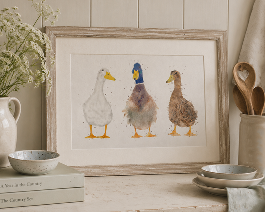 Trio Of Ducks - ''The Quackers''