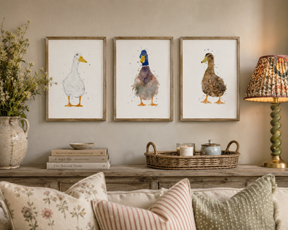 Trio of Ducks