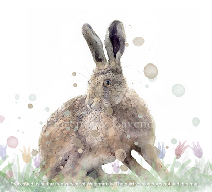 ''Amongst The Meadow'' - Hare Print - Florence & Lavender