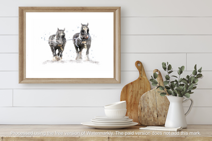 ''Work Mates''  Vintage Shire Horses - Florence & Lavender