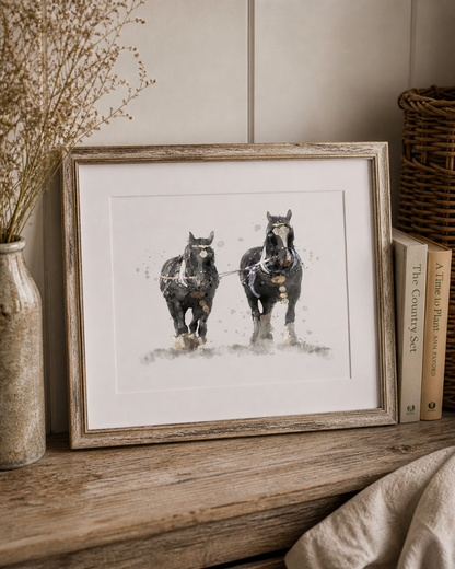 ''Work Mates''  Vintage Shire Horses - Florence & Lavender