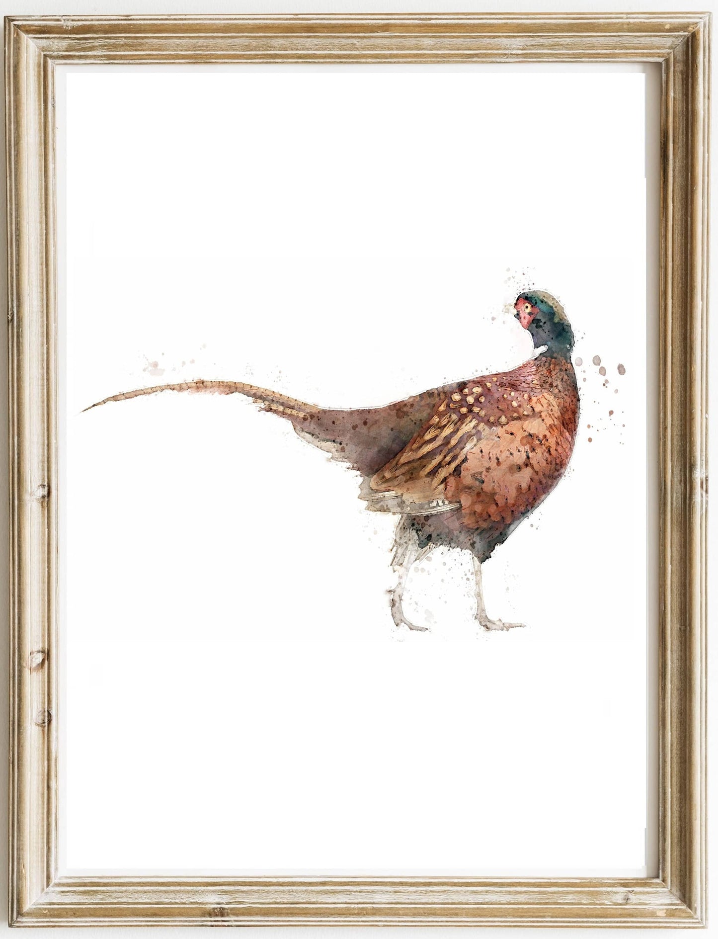 3 for 2 offer - Game Bird Prints - Florence & Lavender