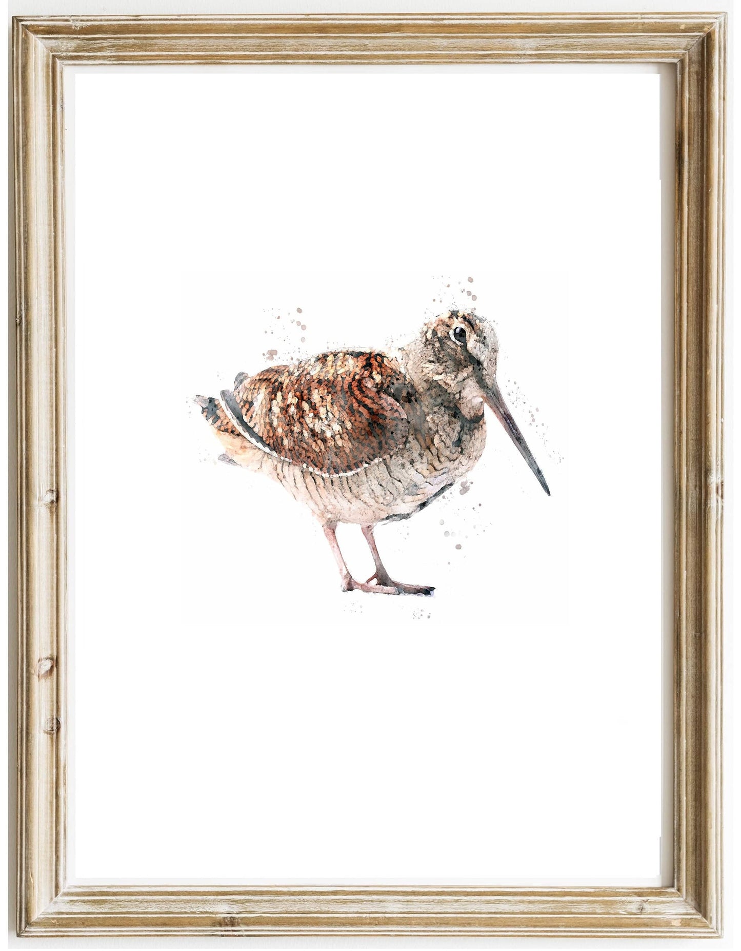 3 for 2 offer - Game Bird Prints - Florence & Lavender