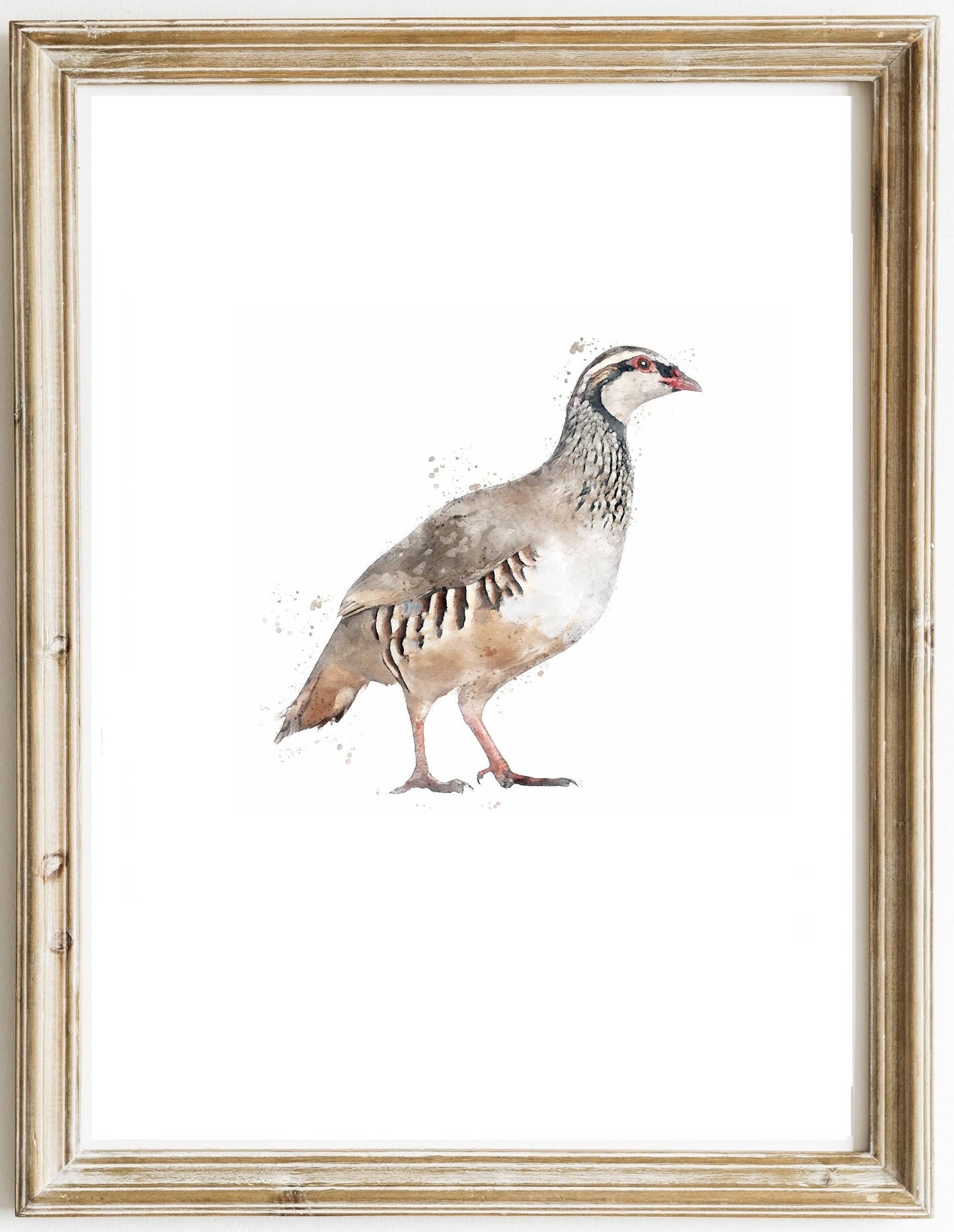 3 for 2 offer - Game Bird Prints - Florence & Lavender