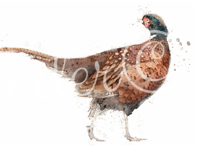 3 for 2 offer - Game Bird Prints - Florence & Lavender