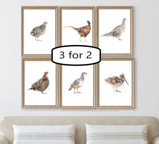 3 for 2 offer - Game Bird Prints - Florence & Lavender