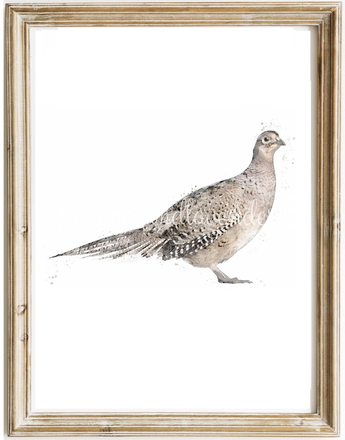 3 for 2 offer - Game Bird Prints - Florence & Lavender