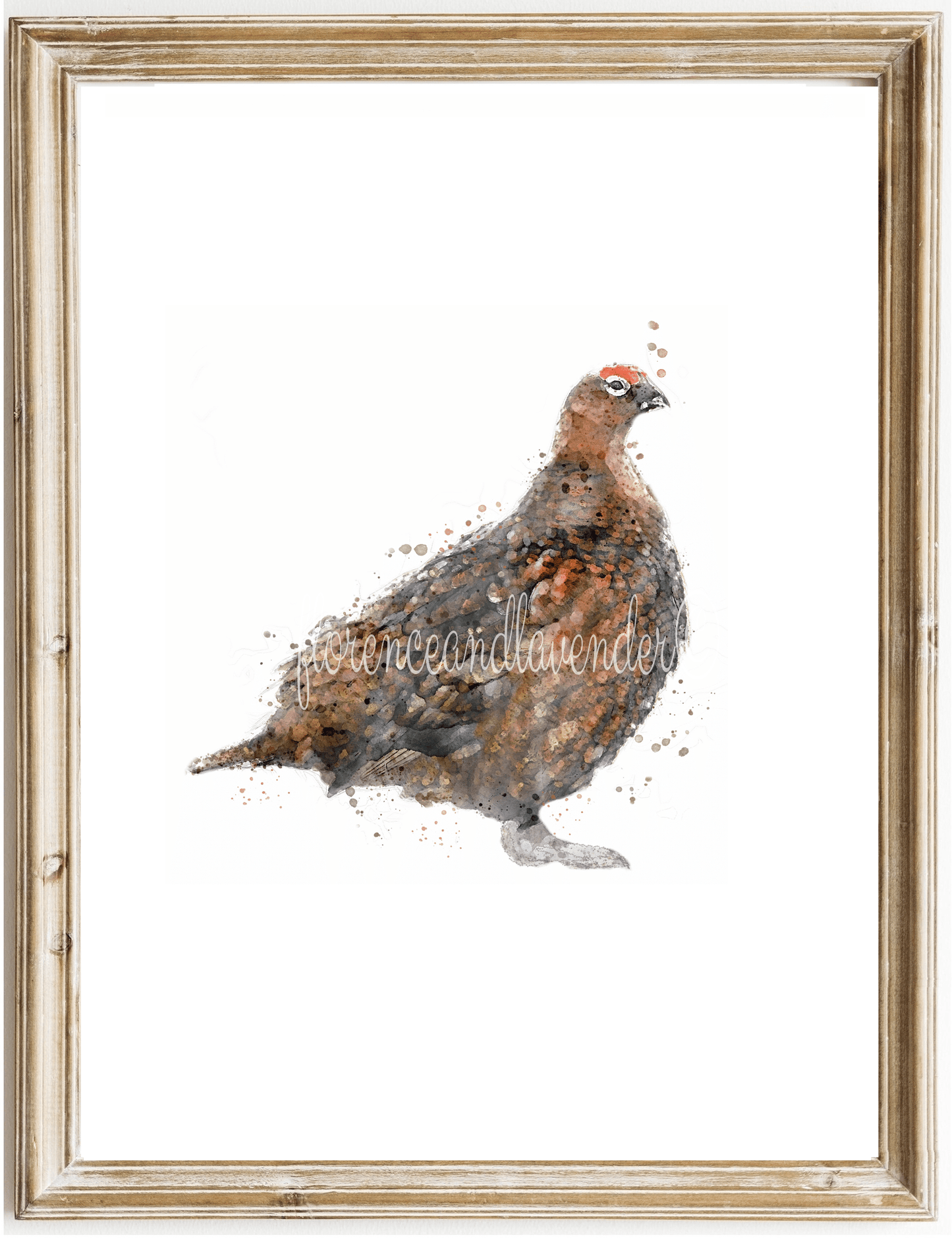 3 for 2 offer - Game Bird Prints - Florence & Lavender