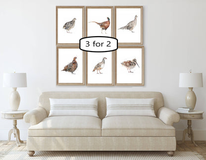 3 for 2 offer - Game Bird Prints - Florence & Lavender