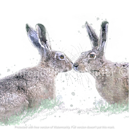 'Courtship' Hare print - Florence & Lavender