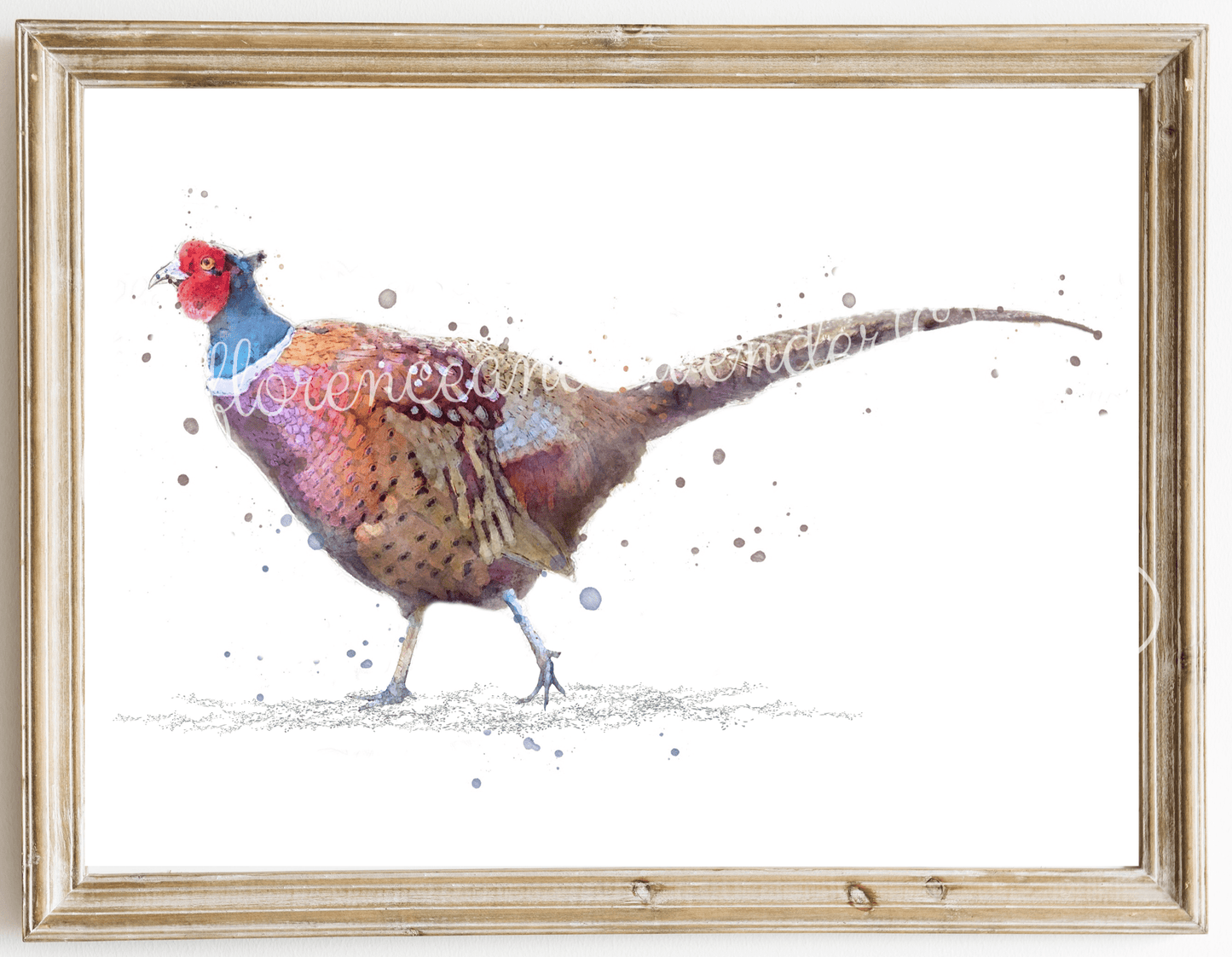 'A Walk In The Country' Watercolour Pheasant Print - Florence & Lavender