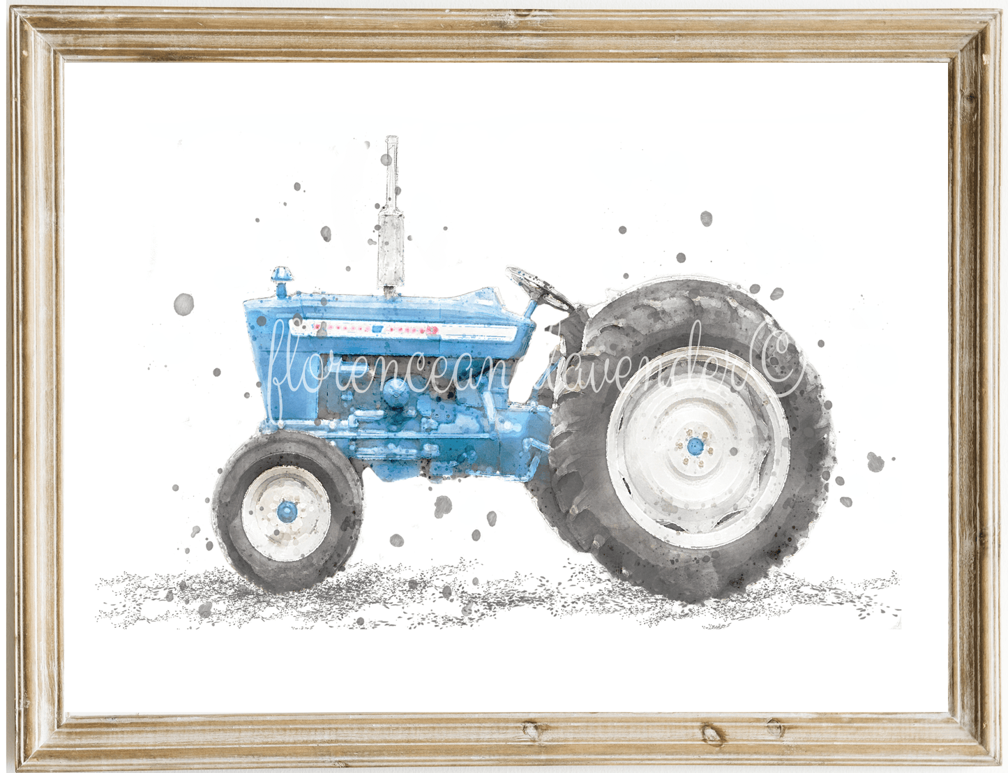 Antique Tractor Collection - Florence & Lavender