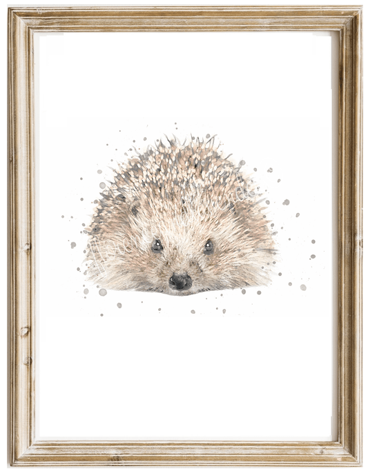 'Beatrice' Watercolour Hedgehog Print - Florence & Lavender