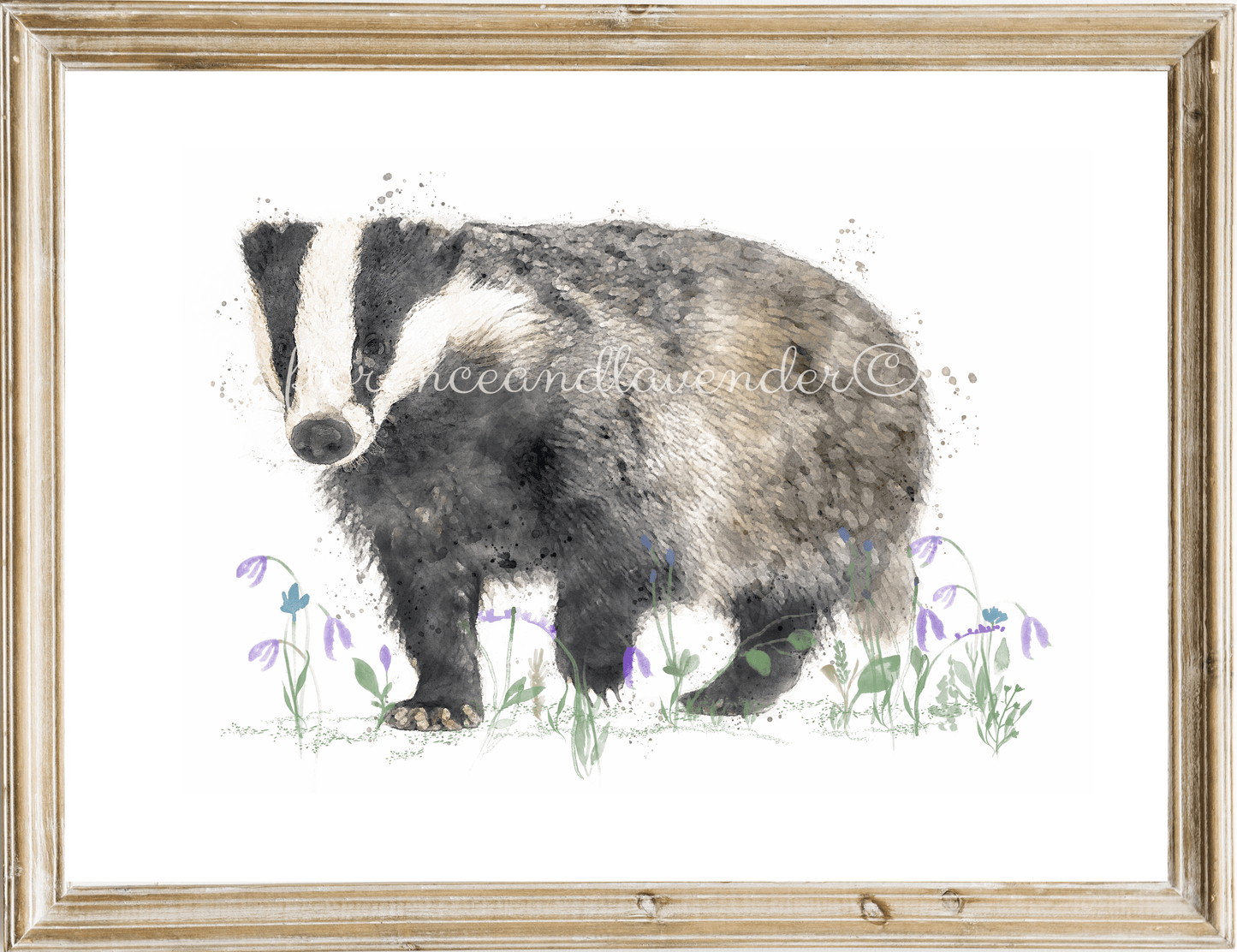 'Beatrix' Watercolour Badger Print - Florence & Lavender