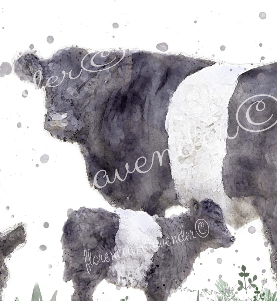 Belted Galloway Cow Print - Florence & Lavender
