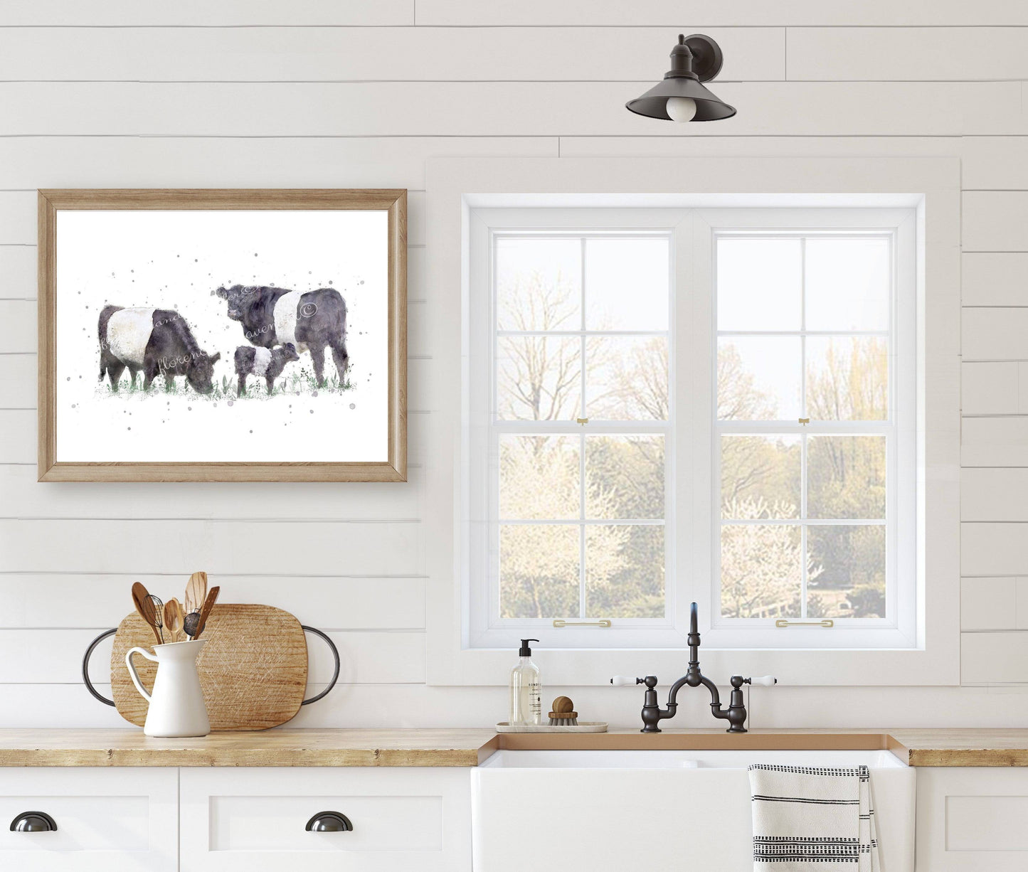 Belted Galloway Cow Print - Florence & Lavender