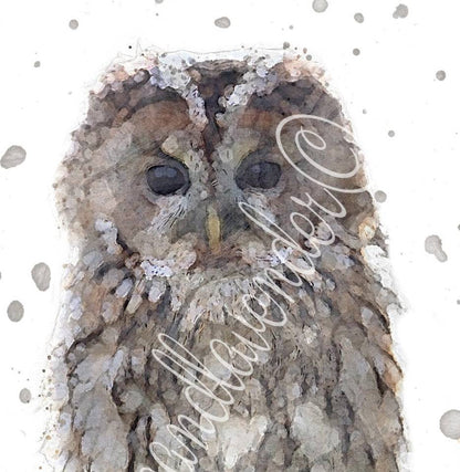 Benji - Tawny Owl - Florence & Lavender