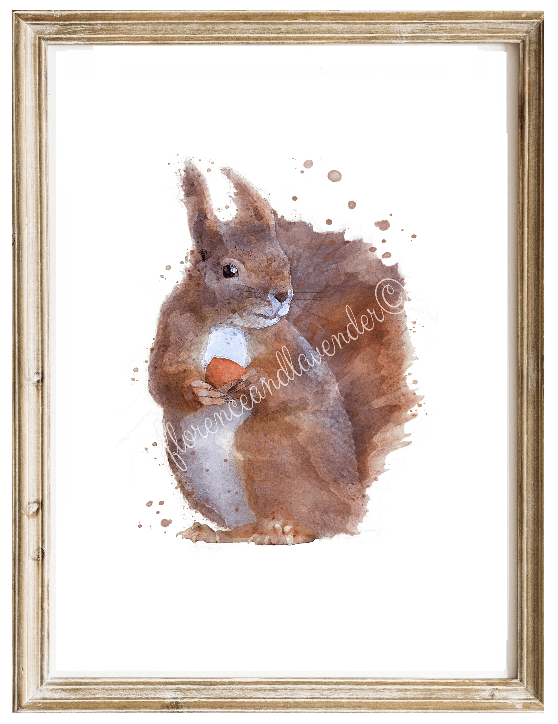'Chestnut' Squirrel Print - Florence & Lavender
