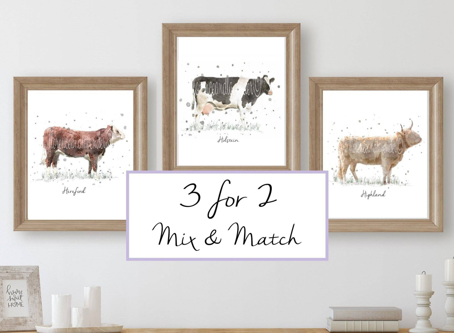 Cow Collection - 3 for 2 - Florence & Lavender