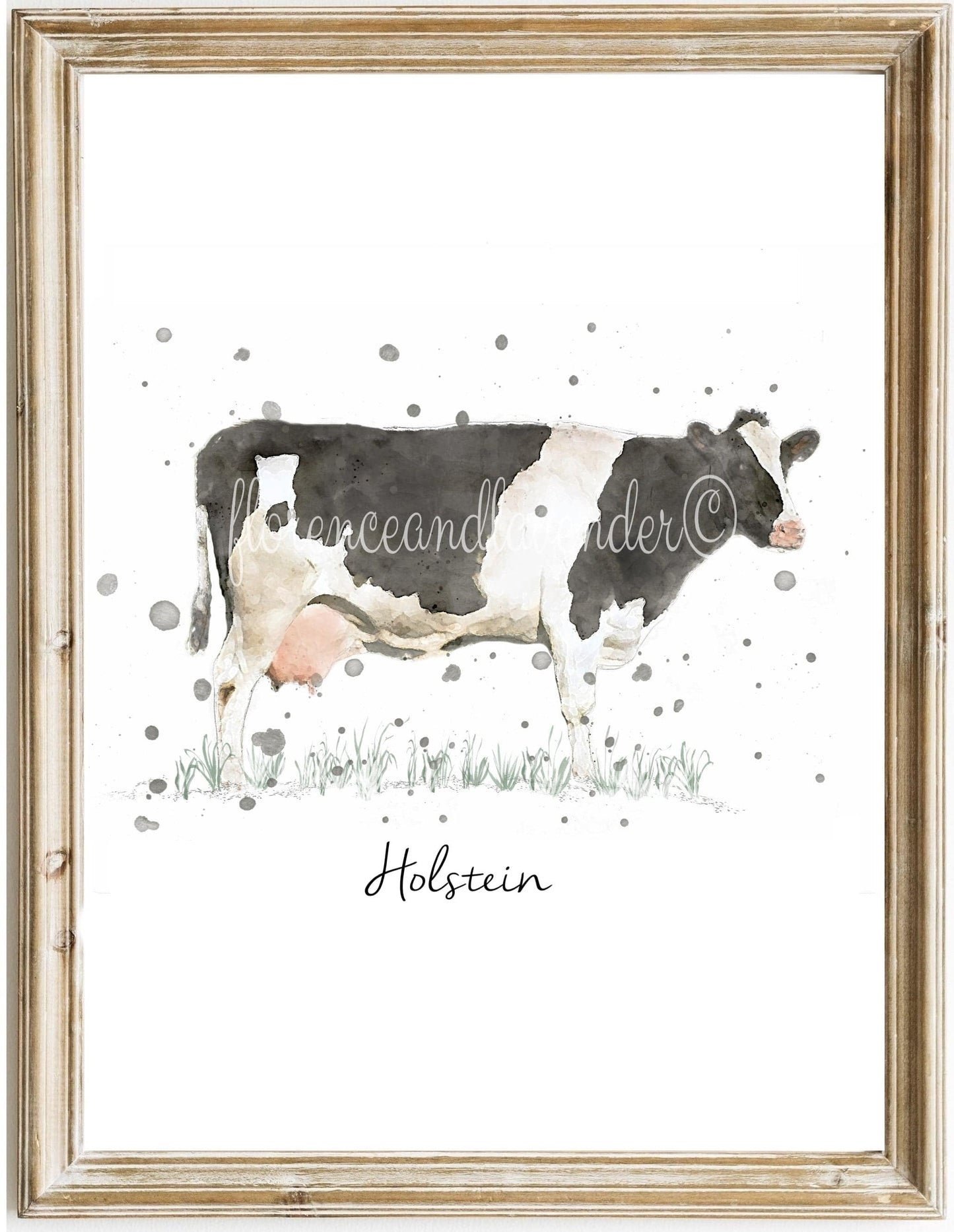 Cow Collection - 3 for 2 - Florence & Lavender