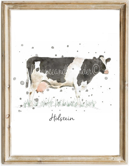 Cow Collection - 3 for 2 - Florence & Lavender