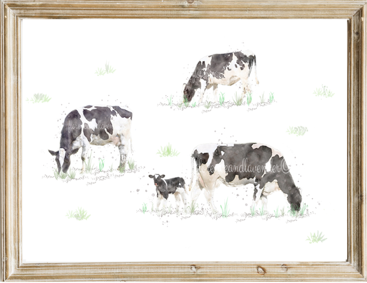 Watercolour Cow Print - 'Chewing The Cud' - Florence & Lavender