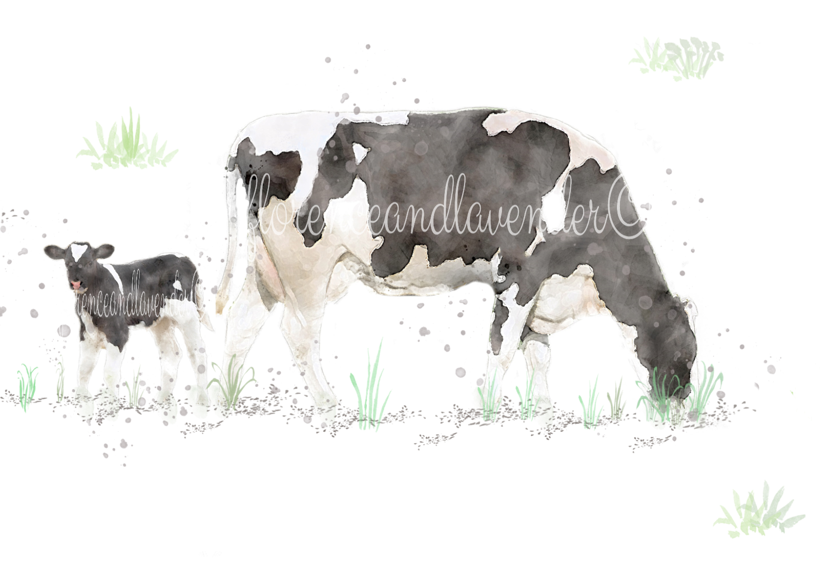 Watercolour Cow Print - 'Chewing The Cud' - Florence & Lavender