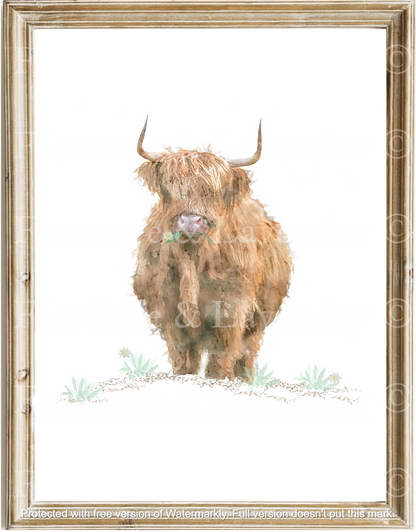 'Daisy' Highland Cow Print - Florence & Lavender