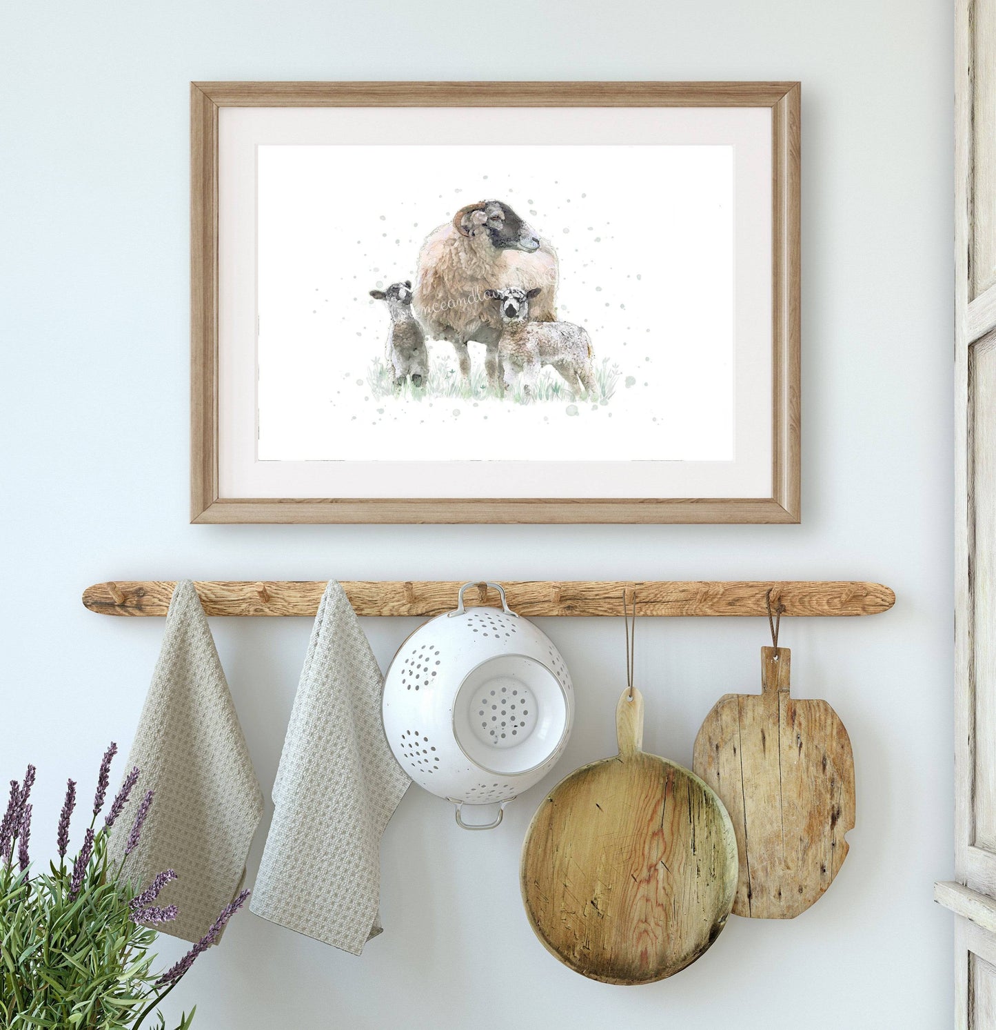 'Double Trouble' - Swaledale Sheep Print - Florence & Lavender