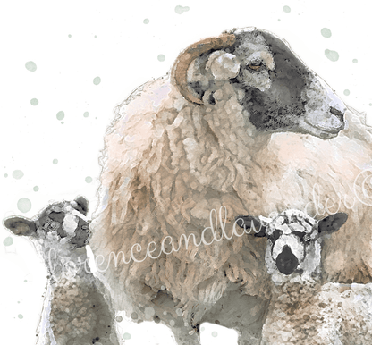 'Double Trouble' - Swaledale Sheep Print - Florence & Lavender