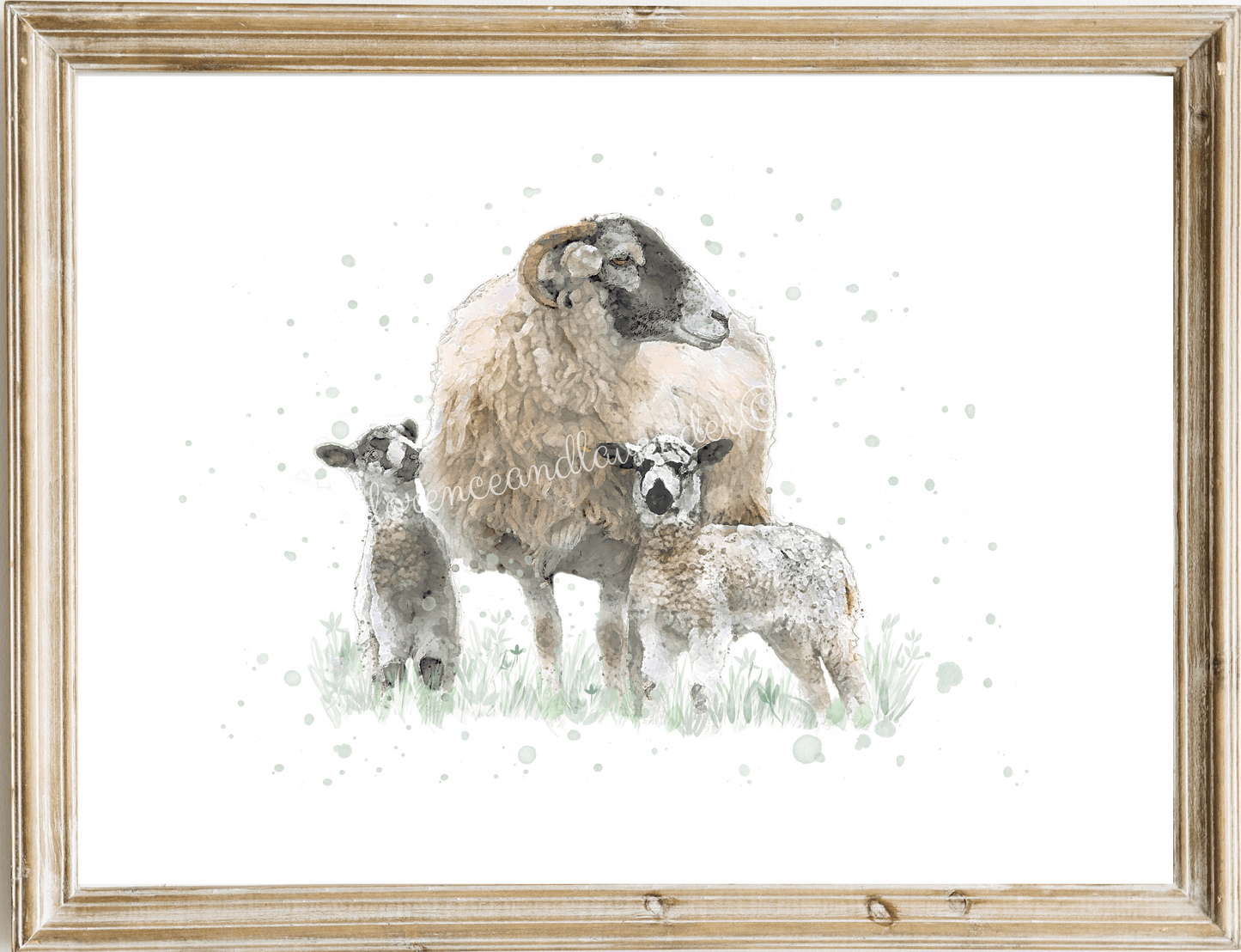 'Double Trouble' - Swaledale Sheep Print - Florence & Lavender