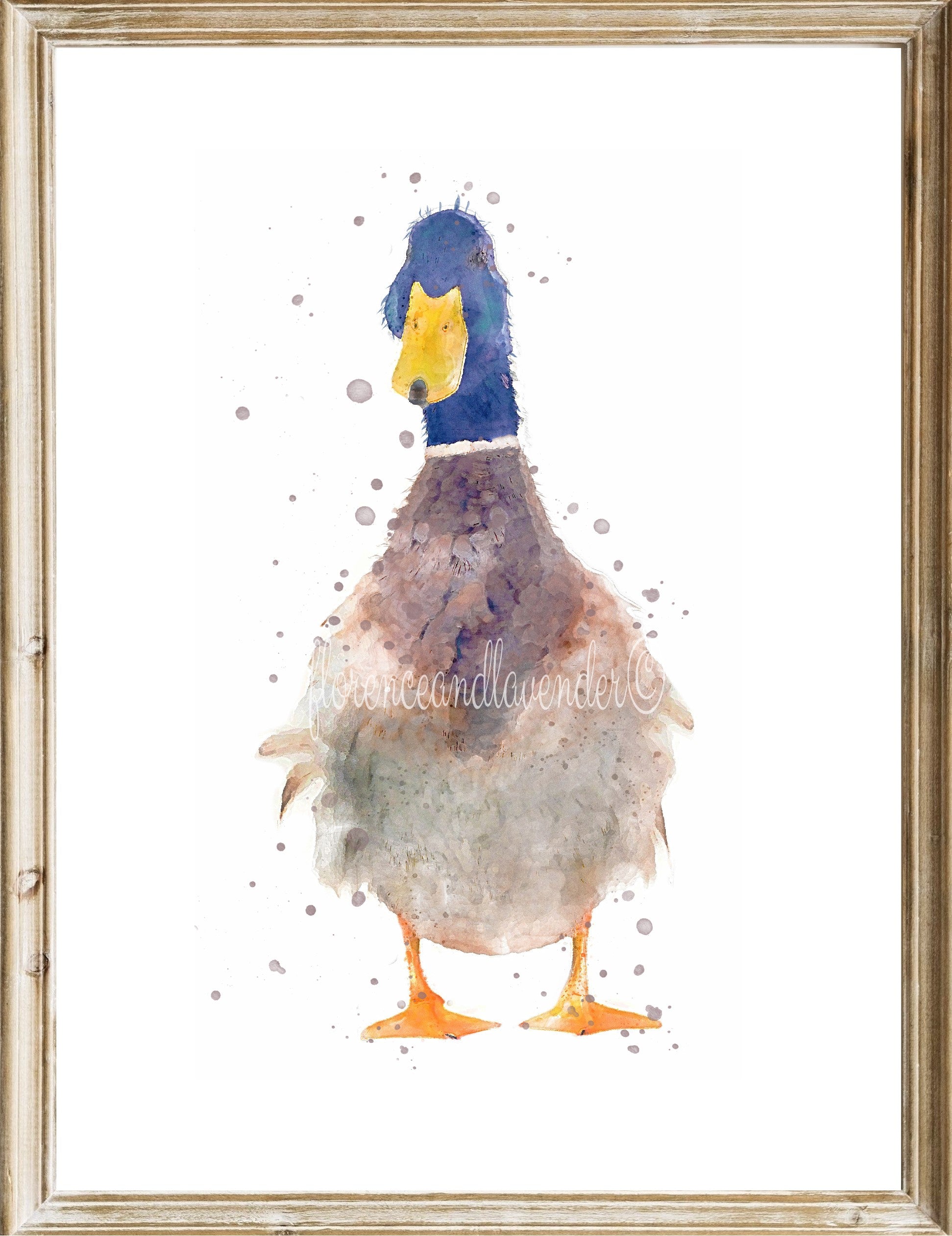 Watercolour Duck Print - 'Gordon' - Florence & Lavender