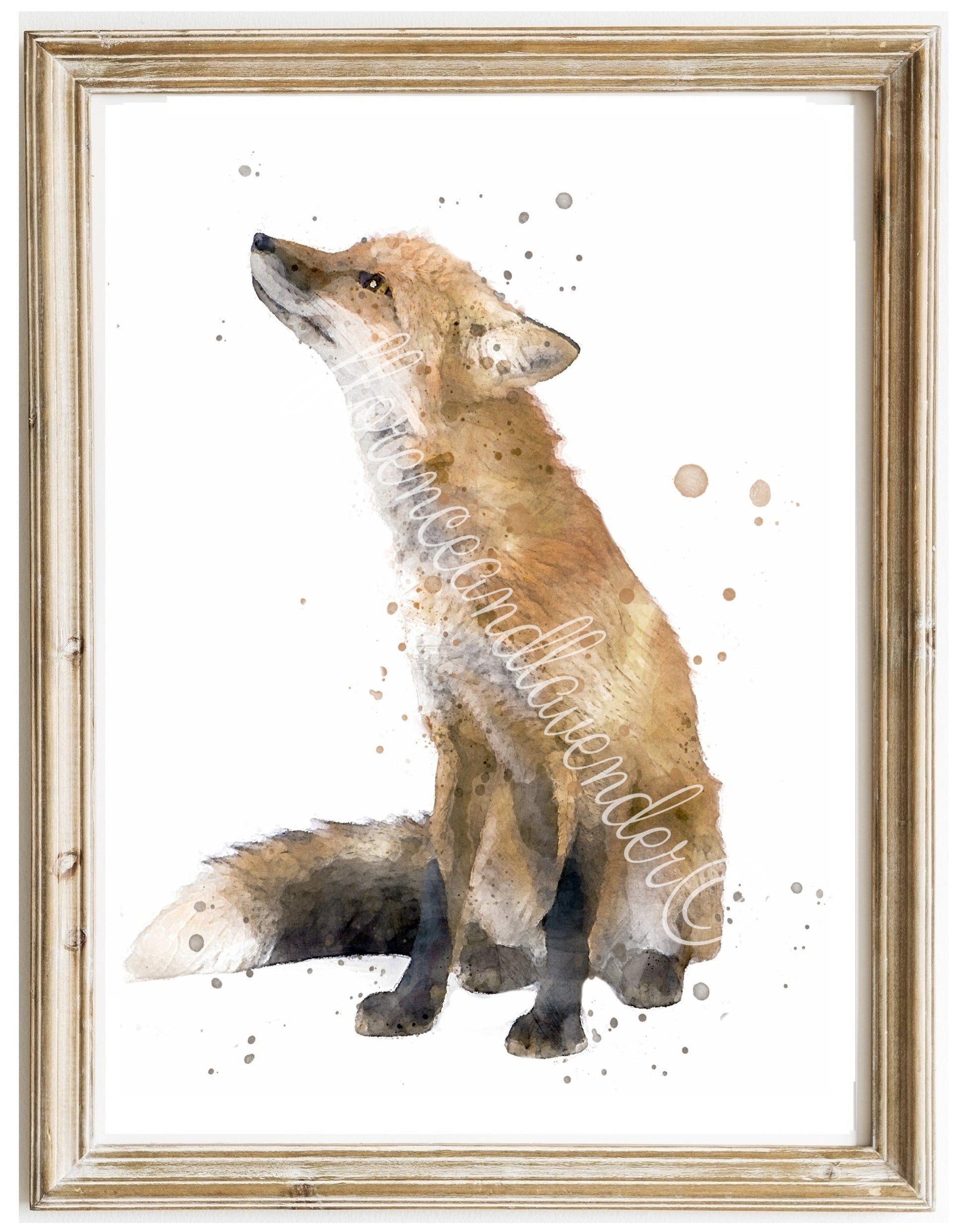 Fine Art Fox Print - Florence & Lavender